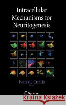 Intracellular Mechanisms for Neuritogenesis Curtis De Ivan D Ivan De Curtis 9780387331287 Springer - książka
