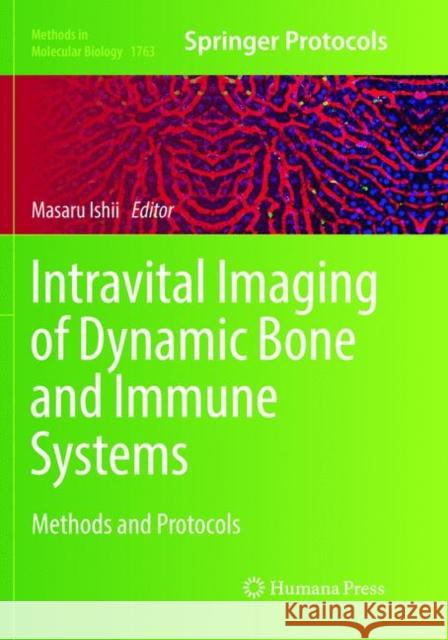 Intravital Imaging of Dynamic Bone and Immune Systems: Methods and Protocols Ishii, Masaru 9781493985449 Humana Press - książka