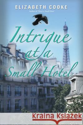 Intrigue at a Small Hotel Professor of Law Elizabeth Cooke 9781458219886 Abbott Press - książka