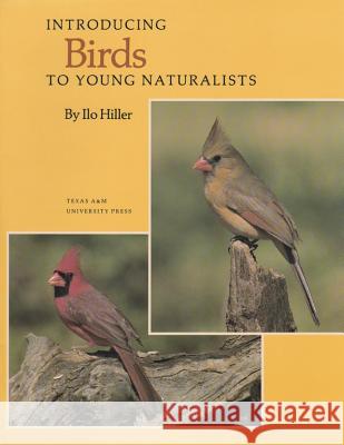 Introducing Birds to Young Naturalists: From Texas Parks and Wildlife Magazine Ilo Hiller 9780890964101 Texas A&M University Press - książka