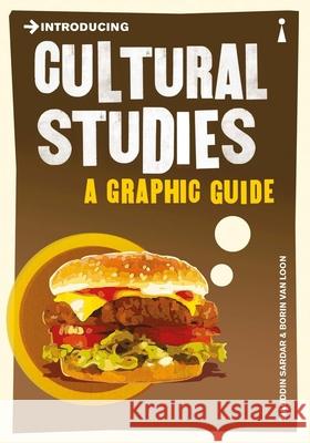 Introducing Cultural Studies: A Graphic Guide Ziauddin Sardar 9781848311817  - książka