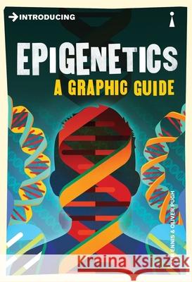 Introducing Epigenetics: A Graphic Guide Andre Gomes 9781848318625 Icon Books - książka