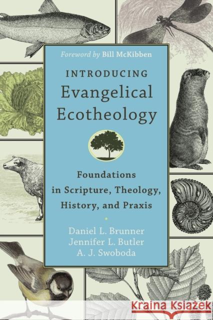 Introducing Evangelical Ecotheology – Foundations in Scripture, Theology, History, and Praxis Bill Mckibben 9780801049651 Baker Academic - książka