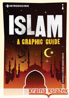 Introducing Islam: A Graphic Guide Ziauddin Sardar 9781848310841 Icon Books - książka