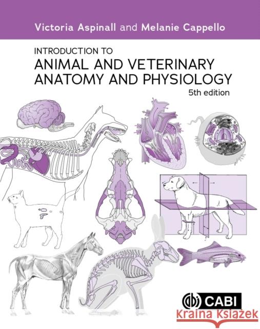 Introduction to Animal and Veterinary Anatomy and Physiology Melanie (Environmental Educator, Freelance Environmental Educator for a Wildlife Foundation, UK) Cappello 9781800624047 CABI Publishing - książka