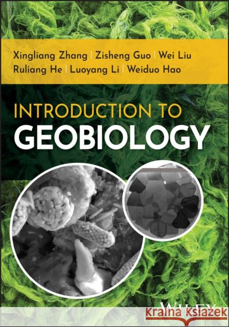 Introduction to Geobiology Weiduo (Northwest University, China) Hao 9781394346196  - książka