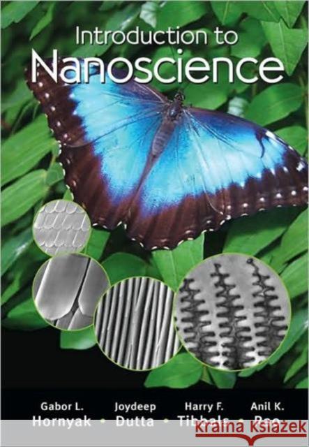 Introduction to Nanoscience G. Louis Hornyak H. F. Tibbals Joydeep Dutta 9781420048056 CRC - książka