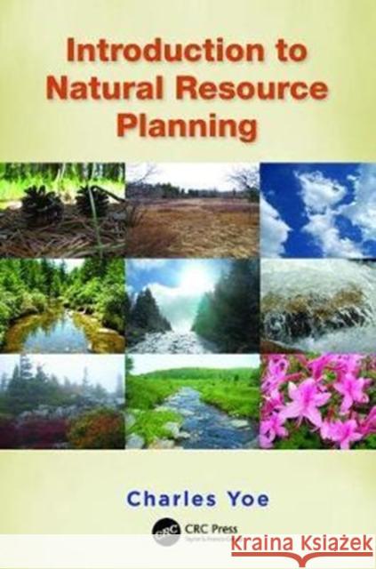 Introduction to Natural Resource Planning Yoe, Charles 9781138401501  - książka