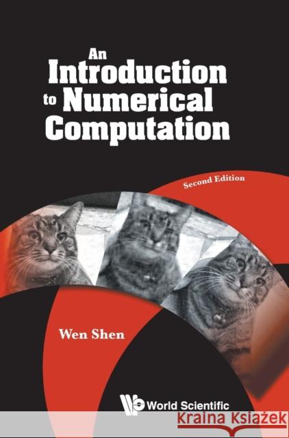 Introduction to Numerical Computation, an (Second Edition) Wen Shen 9789811204418 World Scientific Publishing Company - książka