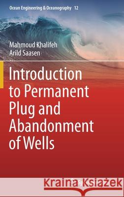 Introduction to Permanent Plug and Abandonment of Wells Mahmoud Khalifeh Arild Saasen 9783030399696 Springer - książka