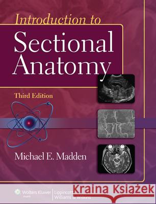 Introduction to Sectional Anatomy with Access Code Madden, Michael 9781609139612  - książka