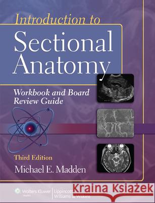 Introduction to Sectional Anatomy Workbook and Board Review Guide with Access Code Madden, Michael 9781609139629  - książka