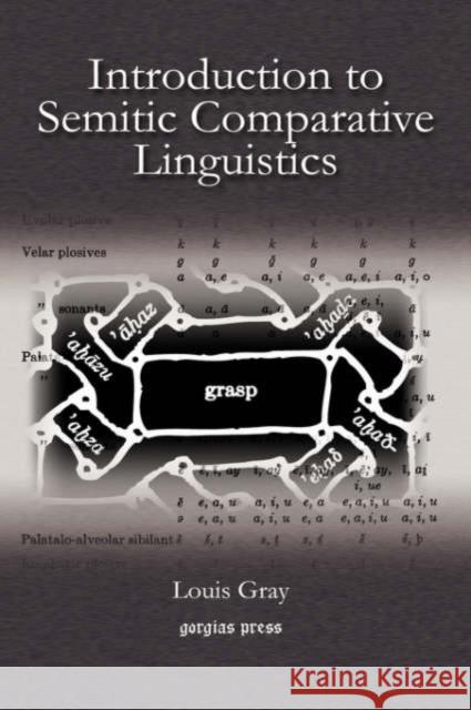 Introduction to Semitic Comparative Linguistics Louis Gray 9781593331962 Gorgias Press - książka