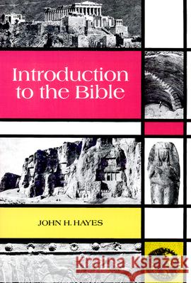 Introduction to the Bible John Haralson Hayes John Haralson Hayes 9780664248833 Westminster John Knox Press - książka