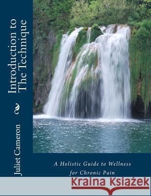 Introduction to The Technique: A Holistic Guide to Wellness for Chronic Pain Cameron, Juliet 9781492191476 Createspace - książka