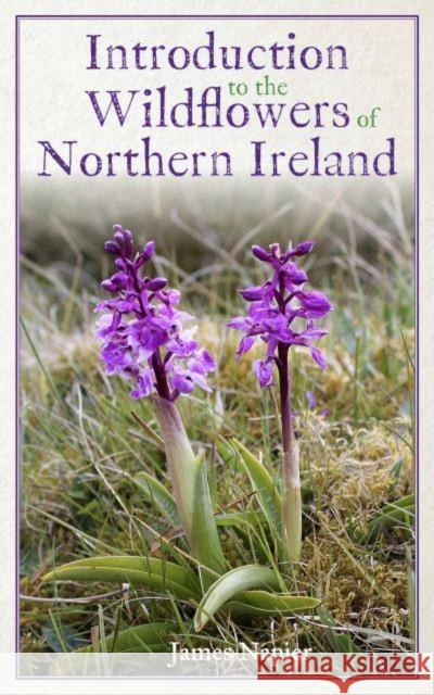Introduction to the Wildflowers of Northern Ireland James Napier 9781399928977 James Napier - książka