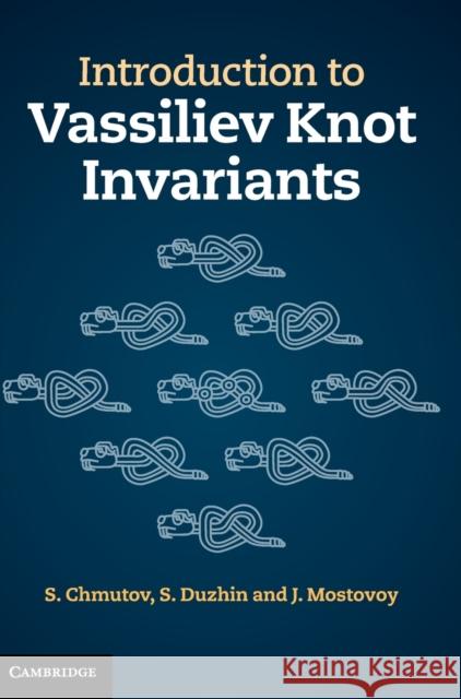 Introduction to Vassiliev Knot Invariants S Chmutov 9781107020832  - książka