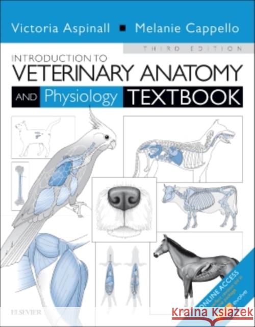 Introduction to Veterinary Anatomy and Physiology Textbook Victoria Aspinall Aspinall 9780702057359 Elsevier Science & Technology - książka