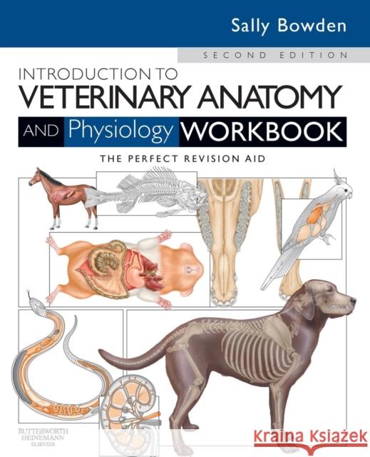 Introduction to Veterinary Anatomy and Physiology Workbook Sally J., VN (Lecturer in Veterinary Nursing and Animal Science) Bowden 9780702052323 Elsevier Science & Technology - książka
