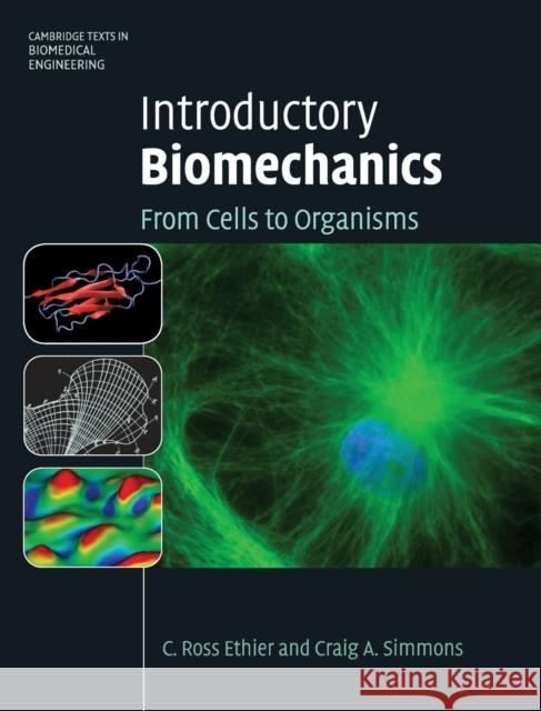 Introductory Biomechanics Ethier, C. Ross 9780521841122  - książka