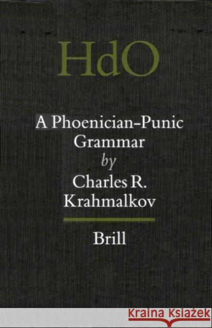 Introductory Grammar of Rabbinic Hebrew Miguel Perez Fernandez 9789004109049 Brill Academic Publishers - książka