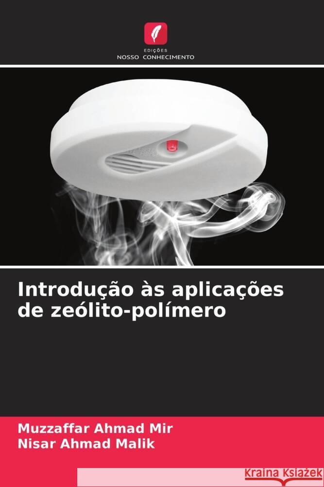 Introdu??o ?s aplica??es de ze?lito-pol?mero Muzzaffar Ahmad Mir Nisar Ahmad Malik 9786208025953 Edicoes Nosso Conhecimento - książka