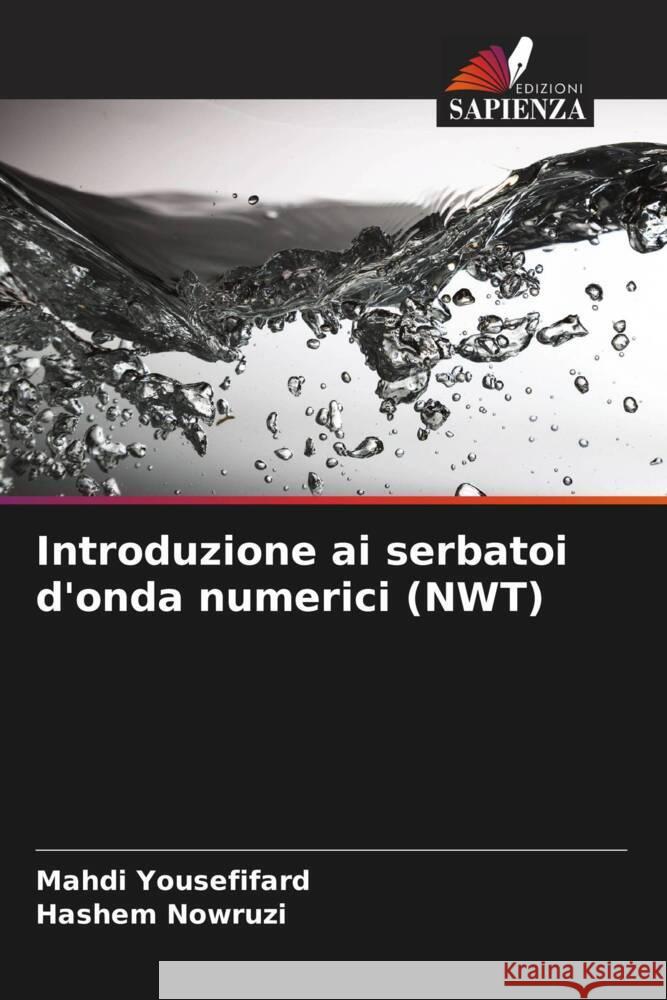 Introduzione ai serbatoi d'onda numerici (NWT) Yousefifard, Mahdi, Nowruzi, Hashem 9786204951652 Edizioni Sapienza - książka