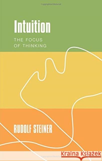 Intuition: The Focus of Thinking Rudolf Steiner Edward d Johanna Collis 9781855845572 Rudolf Steiner Press - książka