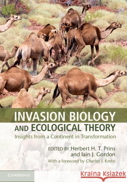 Invasion Biology and Ecological Theory: Insights from a Continent in Transformation Prins, Herbert H. T. 9781107035812  - książka