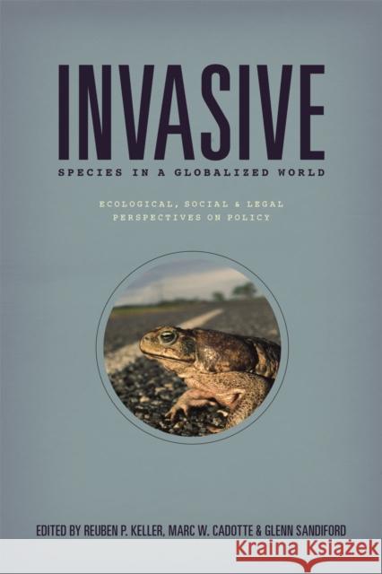 Invasive Species in a Globalized World: Ecological, Social, and Legal Perspectives on Policy Reuben P. Keller Marc W. Cadotte Glenn Sandiford 9780226166186 University of Chicago Press - książka