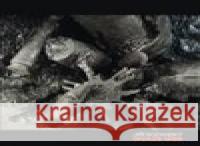 Invaze 1968. Jiří Sozanský Jiří Sozanský 9788090874619 Symposion - książka