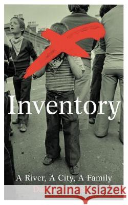Inventory Darran Anderson 9781784741501 Vintage Publishing - książka