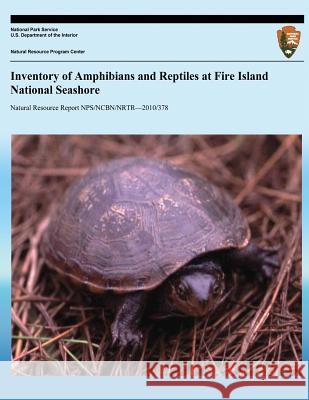 Inventory of Amphibians and Reptiles at Fire Island National Seashore Robert P. Cook 9781492105329 Createspace - książka