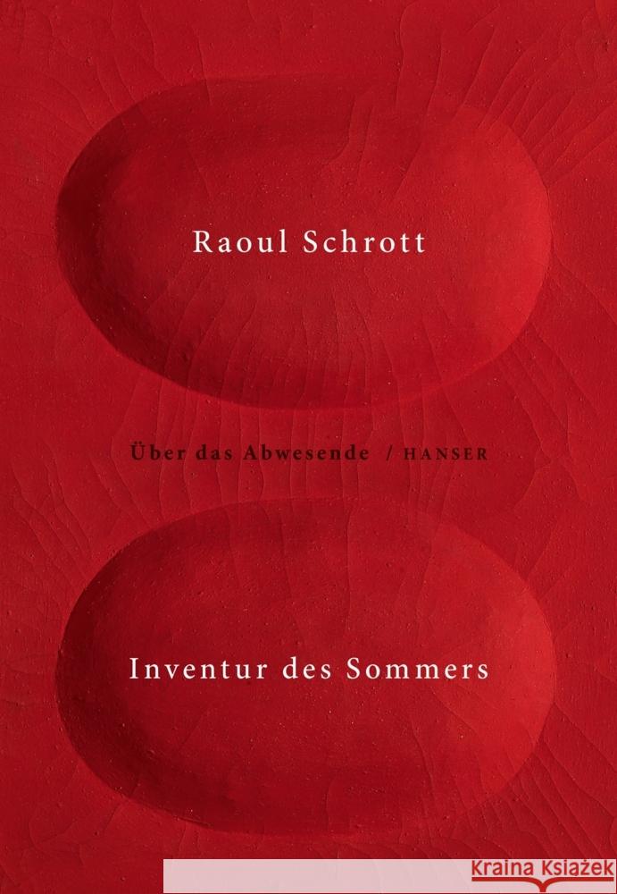 Inventur des Sommers Schrott, Raoul 9783446276338 Hanser - książka