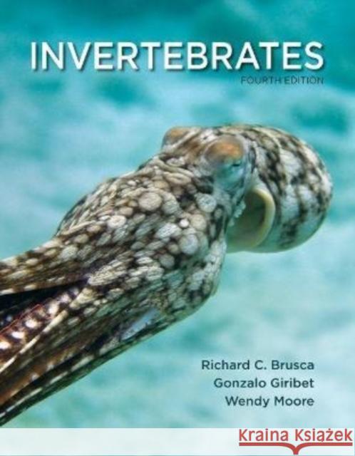 Invertebrates Rick Brusca Wendy Moore Gonzalo Giribet 9780197554418 Oxford University Press, USA - książka