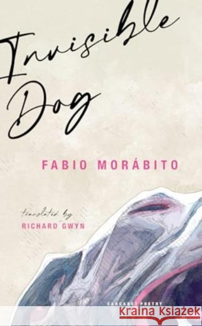 Invisible Dog Fabio Morabito 9781800174511 Carcanet Press Ltd - książka
