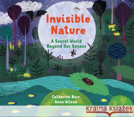 Invisible Nature: A Secret World Beyond Our Senses Catherine Barr Anne Wilson 9781910959671 Otter-Barry Books - książka