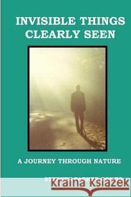 Invisible Things Clearly Seen Stephen Parker Combs 9781458303325 Lulu.com - książka