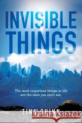 Invisible Things: The most important things in life are the ones you can't see. Steve Chandler Tina Quinn 9781733888707 Hidden Wisdom Publishing - książka