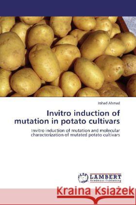 Invitro Induction of Mutation in Potato Cultivars Irshad Ahmad 9783847344940 LAP Lambert Academic Publishing - książka