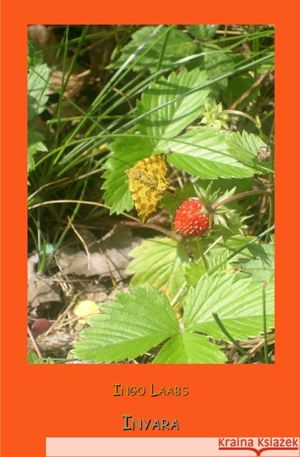 Inyara Laabs, Ingo 9783818703530 epubli - książka