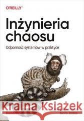 Inżynieria chaosu. Odporność systemów w praktyce Casey Rosenthal, Nora Jones 9788328382855 Helion - książka