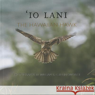IO Lani: The Hawaiian Hawk John Culliney 9780615879291 University of Hawaii Press - książka