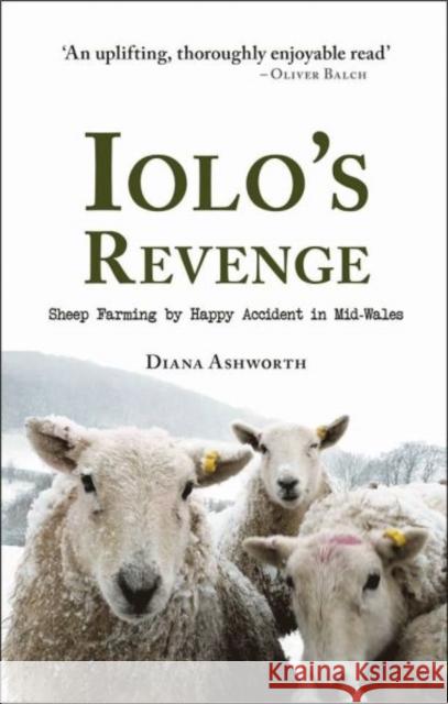 Iolo's Revenge: Sheep Farming by Happy Accident in Mid-Wales Ashworth, Diana 9781910839249 Fircone Books Ltd - książka