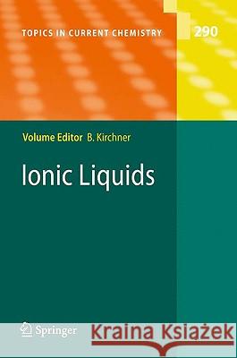 Ionic Liquids  9783642017797 SPRINGER-VERLAG BERLIN AND HEIDELBERG GMBH &  - książka