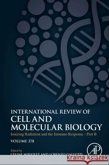 Ionizing Radiation and the Immune Response - Part B: Volume 378 Galluzzi, Lorenzo 9780443184321 Academic Press - książka