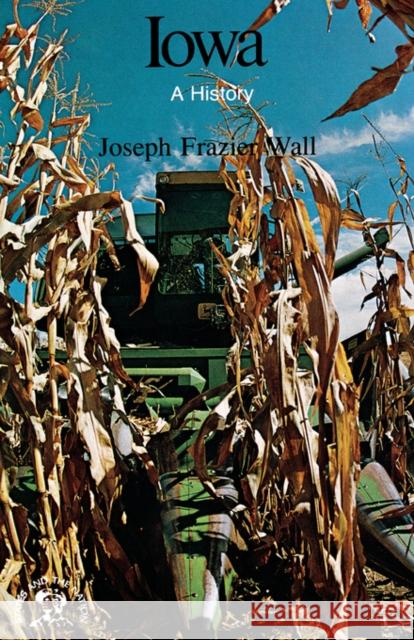 Iowa: A History Wall, Joseph Frazier 9780393333268 W. W. Norton & Company - książka
