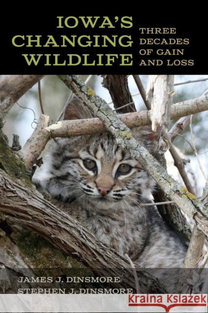 Iowa's Changing Wildlife Stephen J. Dinsmore 9781609389253 University of Iowa Press - książka