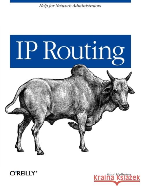 IP Routing Ravi Malhotra 9780596002756 O'Reilly Media - książka