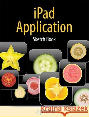 iPad Application Sketch Book D Kaplan 9781430232049  - książka